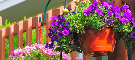 Hanging Baskets On Wooden Fence