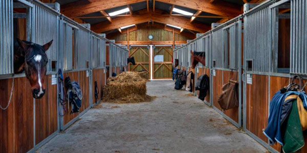 Horse Barn Aisle With Stables on Both Sides
