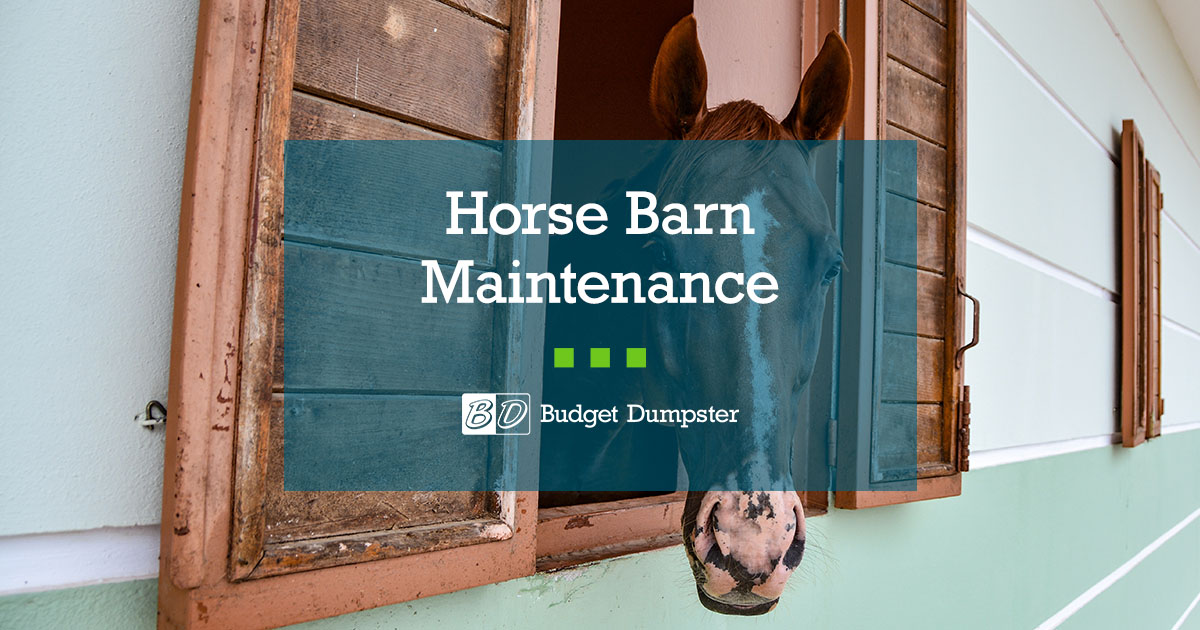 9 Barn Maintenance Tips for FirstTime Horse Owners Budget Dumpster