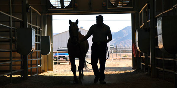 Silhouette of Horse and Owner Walking Through Barn