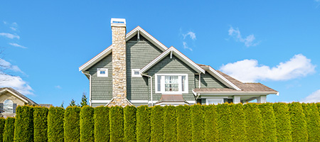 House Hidden Behind a Green Hedge