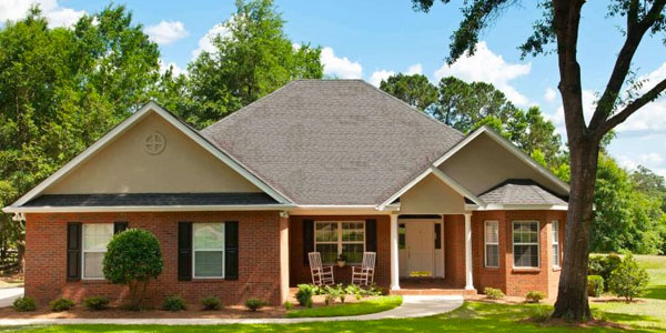 Brick House With Tree in Front Yard