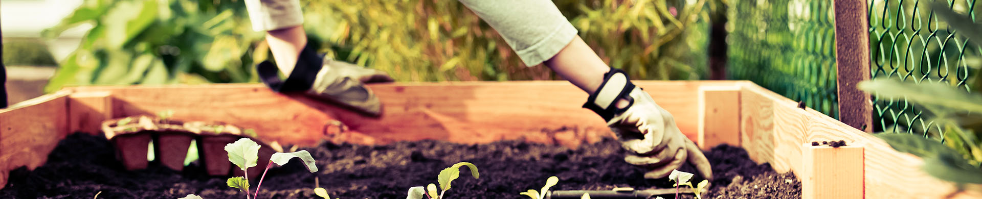 Wooden Raised Garden Bed