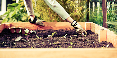 Wooden Raised Garden Bed