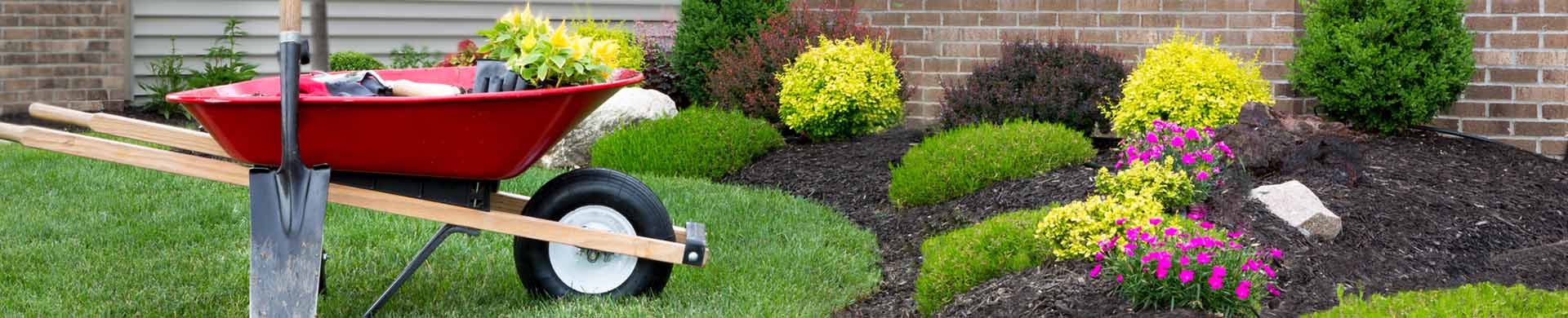 Planting a Flower Garden Outside Home With Red Wheelbarrow