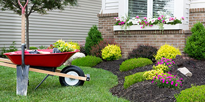 Planting a Flower Garden Outside Home With Red Wheelbarrow