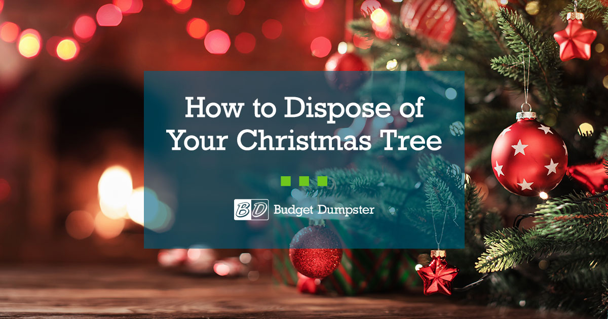 10 Ways to Dispose of Your Christmas Tree Budget Dumpster