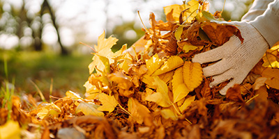 Person Picking Up Leaves