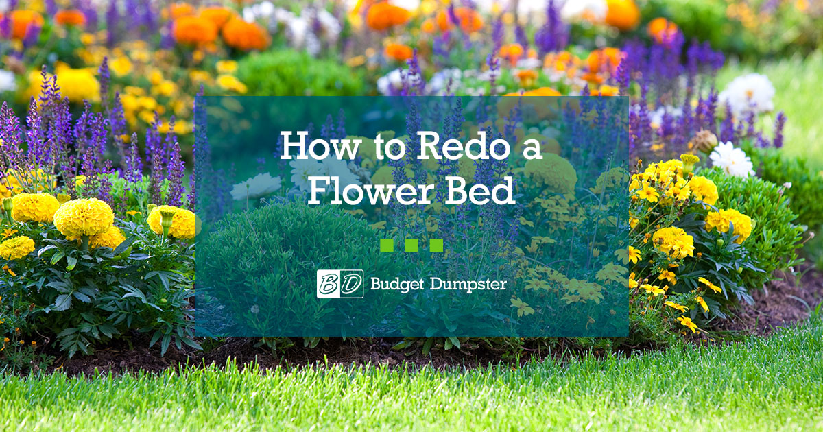 How to Redo an Existing Flower Bed Budget Dumpster
