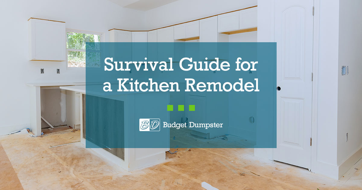 How to Survive a Kitchen Remodel Budget Dumpster
