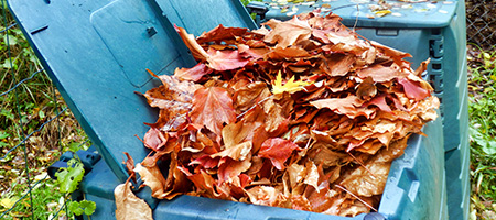 Compost Bin Loaded With Autumn Leaves