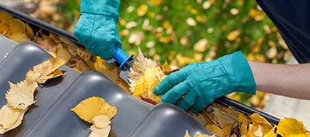 Man Clearing Leaves From Gutters