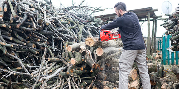 Man With Chainsaw Cutting Tree Branches