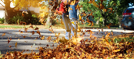 Man Uses Leaf Blower to Clear Leaves from Yard