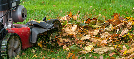 Lawn Mower Mulches Leaves