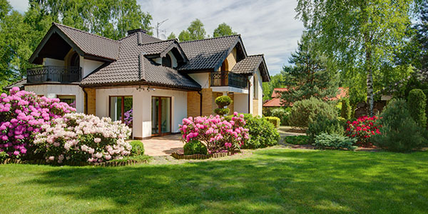 Patio Surrounded by Flowering Shrubs