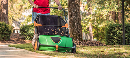 Man Pushes Lawn Sweeper to Collect Leaves from Yard