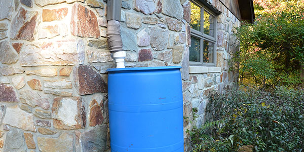 Downspout Going Into Rain Barrel Against Stone House