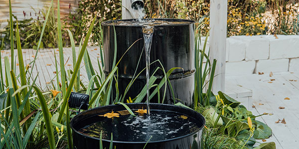 Gathering Rain Water From a Rain Barrel