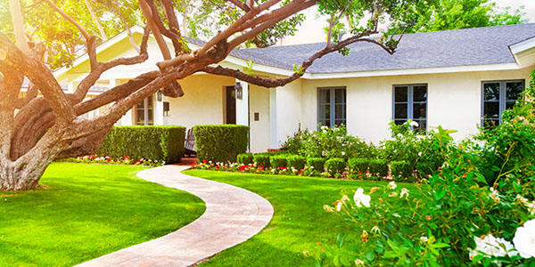 Ranch Style Home With Large Front Yard