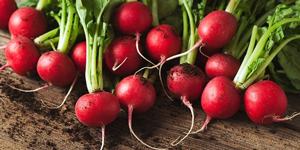 Red Radishes on Wooden Table