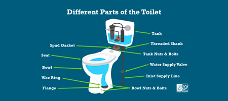 Labeled Diagram of a Toilet