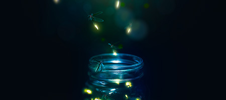 Reusing a Glass Jar as a Lightning Bug Catcher