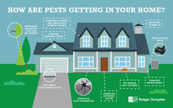 How Are Pests Getting in Your Home Infographic