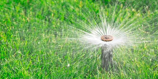 In-Ground Sprinkler Watering Grass
