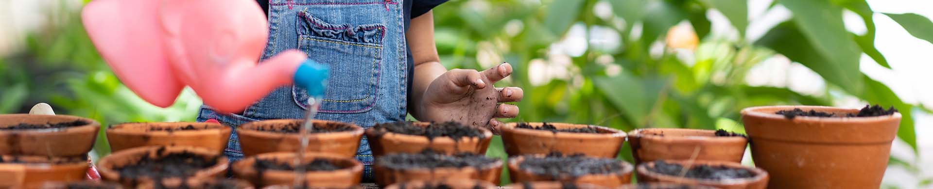 Little Girl Watering Plants With Pink Watering Can