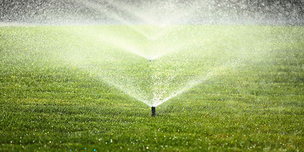 Home Sprinkler System Watering Green Lawn