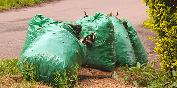 Trash Needing Debris Pickup