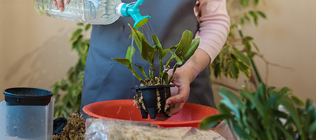 Person Uses Watering Can Made From Upcycled Plastic Bottle