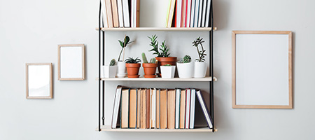 Bookshelf on Wall With Plants and Hanging Artwork