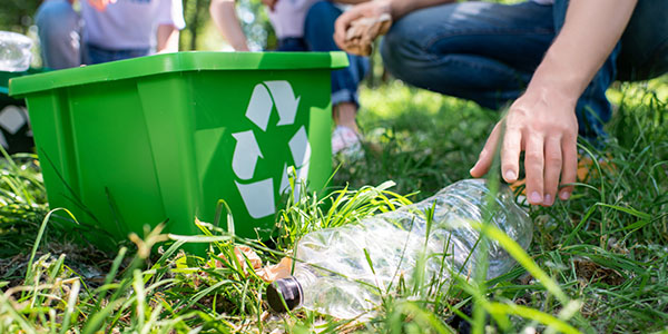 Person Separating Recyclables Into Appropriate Bins