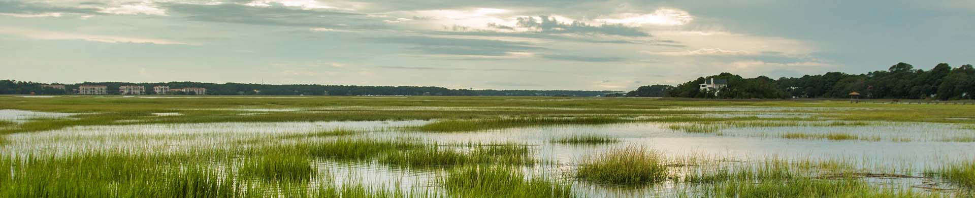 Landscape of American Wetlands