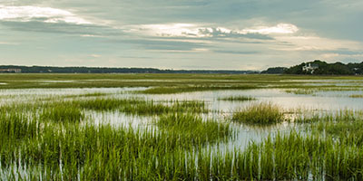 Landscape of American Wetlands