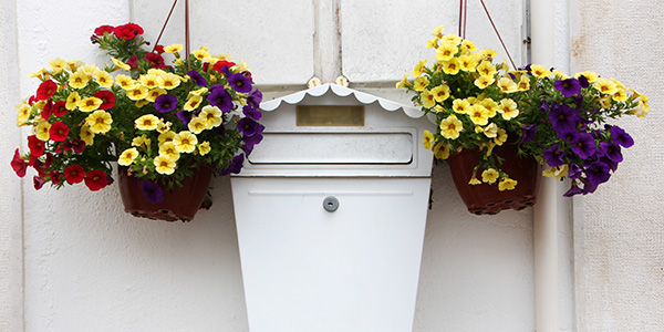 White Mailbox Surrounded by Flowers