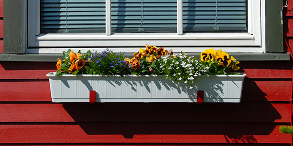 A White Planter Box Holding Colorful Flowers Below a Window Against a Red Wall