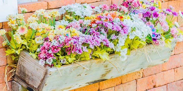 Flowers in a Wooden Window Box