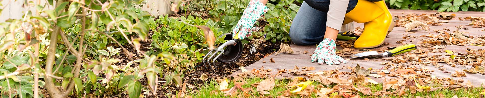 Woman Preparing Garden for Winter