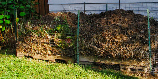 Two Wire Compost Bins Filled With Material