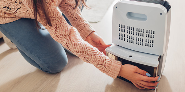 Woman Setting Up Dehumidifier on the Floor