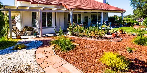 Xeriscape Backyard With Stone Walkway and Green Plants