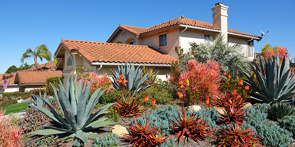 Home with Large Green and Red Drought-Friendly Plants in Front Yard