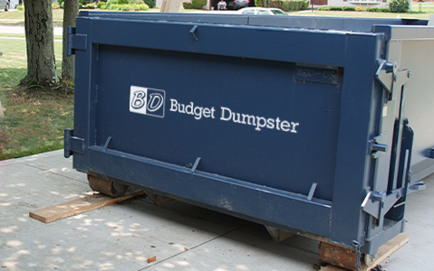 Closed Dumpster Door With Budget Dumpster Logo