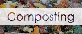 The Beauty of Composting