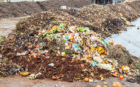 Large Pile of Soil and Food Compost