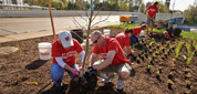 KAB Volunteers Planting a Tree