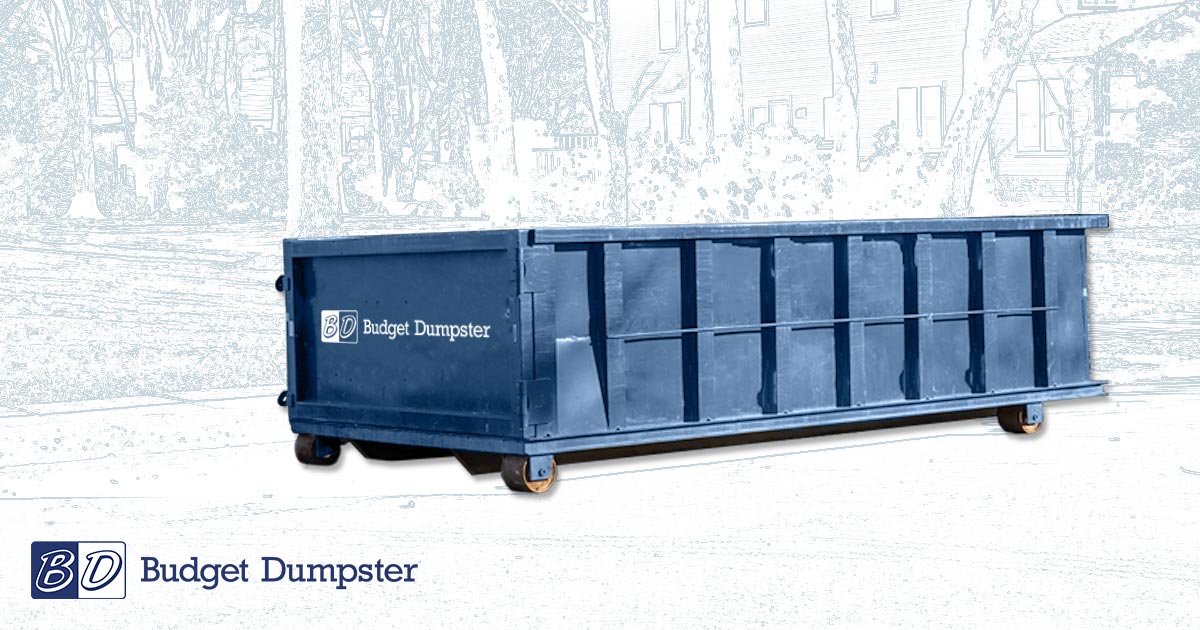 What You Should Know About Dumpster Fees Budget Dumpster